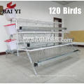 dar es salaam tanzania poultry farm best sale chicken cages